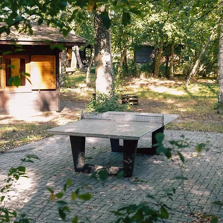 Waldhaus Molzen - Erleben *