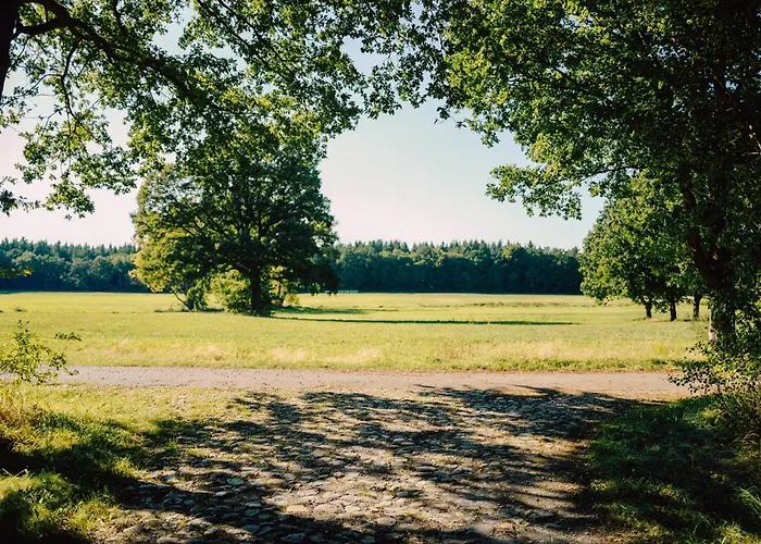 Waldhaus Molzen - Erleben * Uelzen